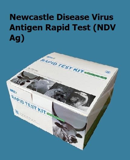 Rýchly test antigénu vírusu newcastleskej choroby